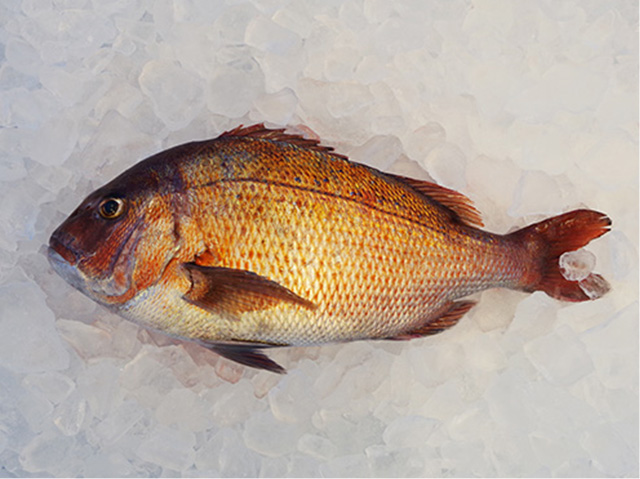 buri